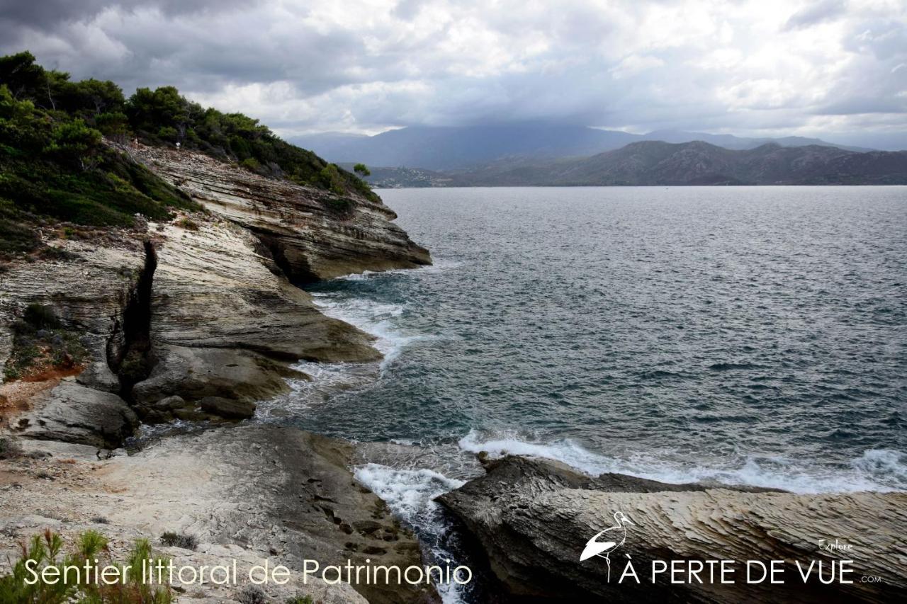 Chambre D'Hotes A 5Mn Des Plages Patrimonio Exteriör bild