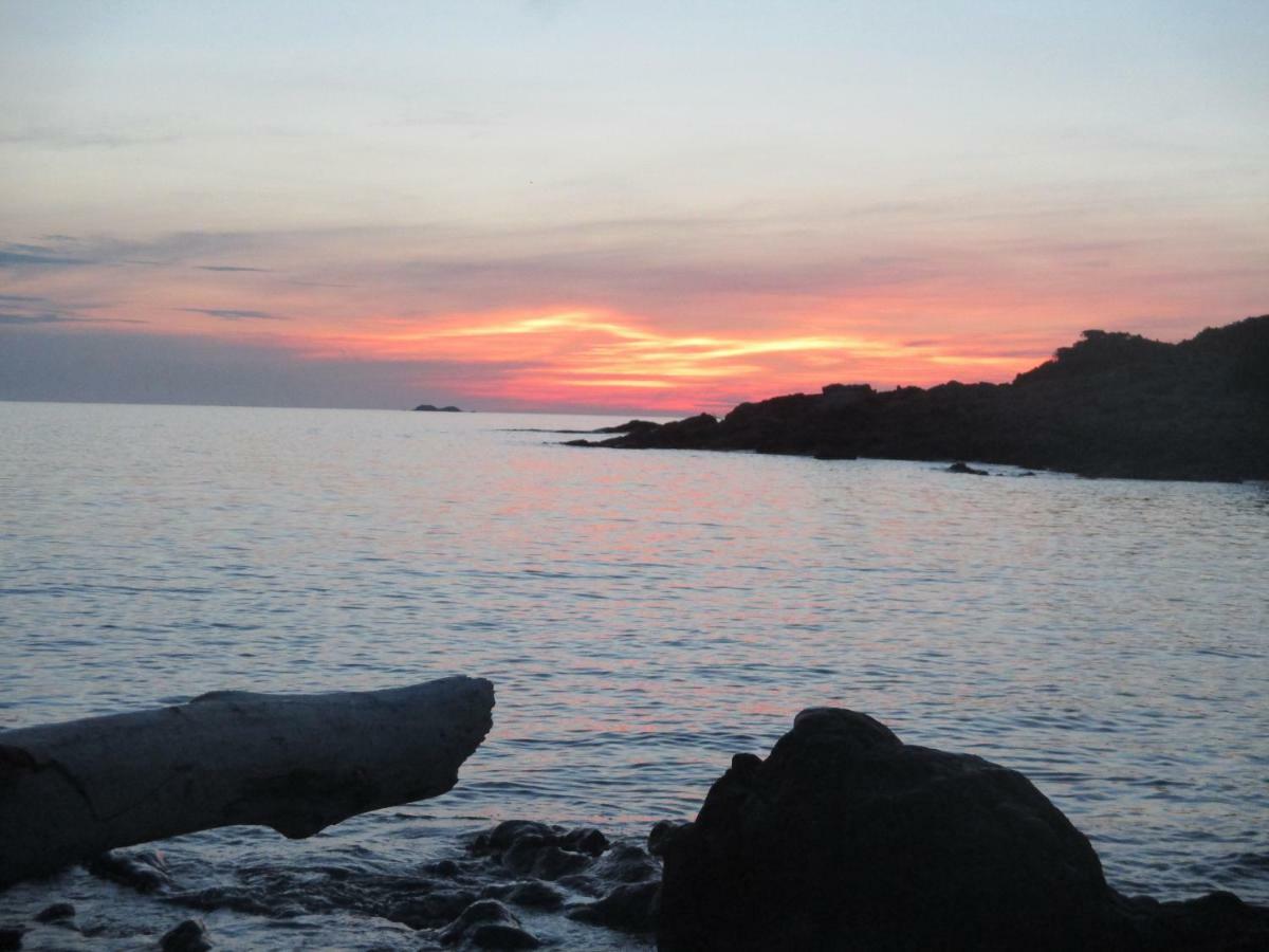 Chambre D'Hotes A 5Mn Des Plages Patrimonio Exteriör bild